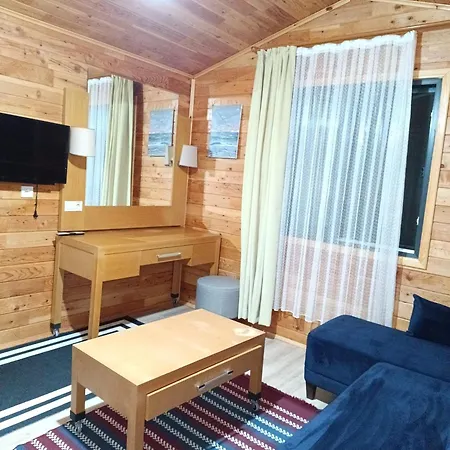 Arlin Holiday home