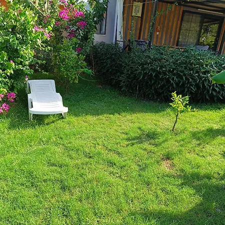 Holiday home Arlin *